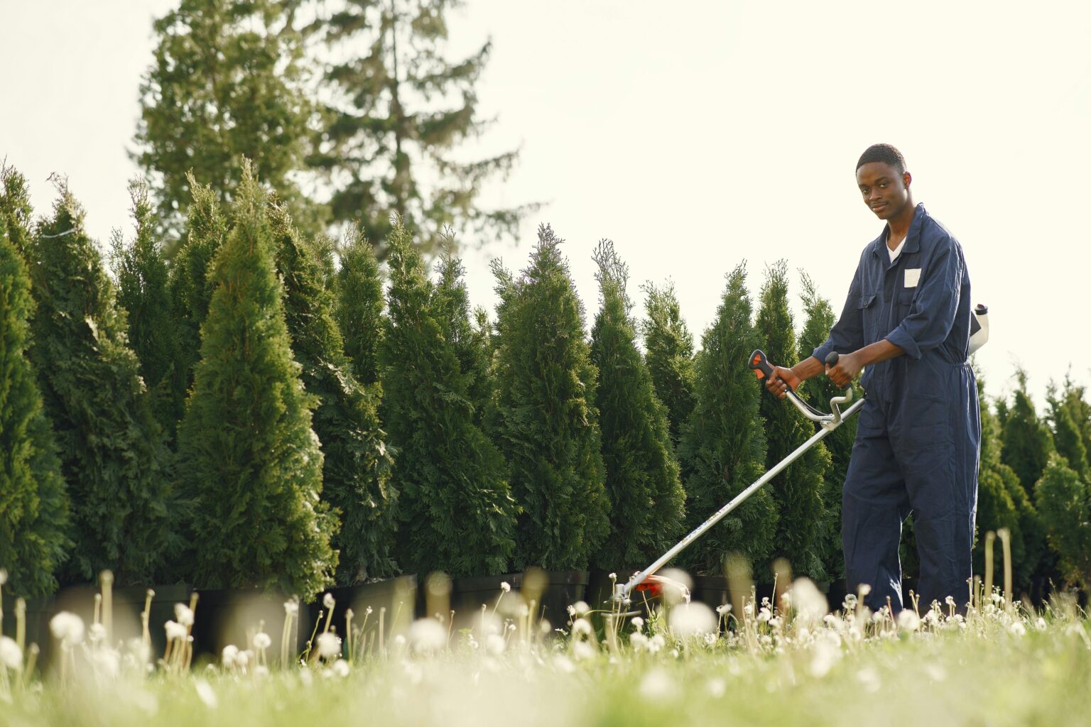 Why Professional Commercial Green Landscaping Supplies Matter More Than You Think